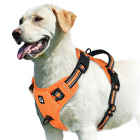 Comfort Control Dog Harness™