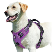 Comfort Control Dog Harness™