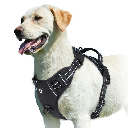 Comfort Control Dog Harness™