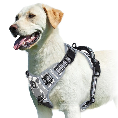 Comfort Control Dog Harness™