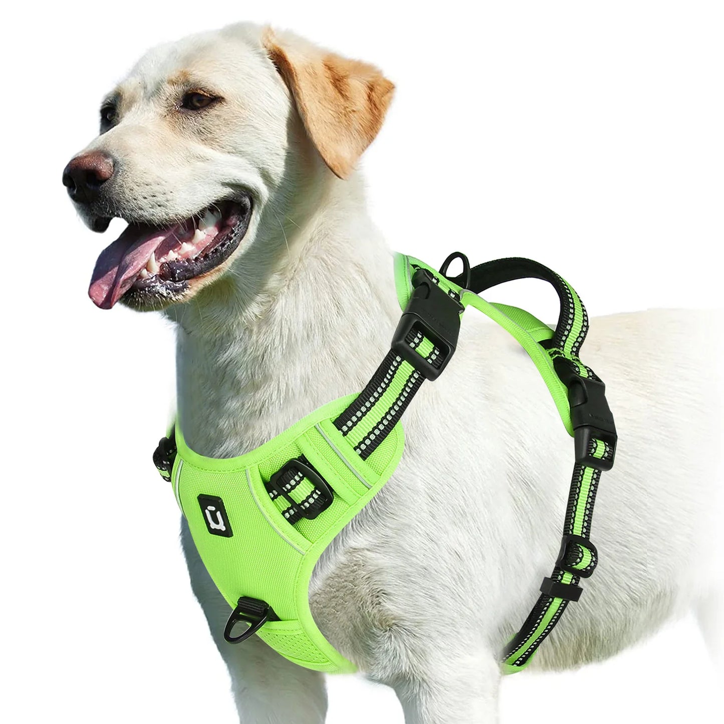 Comfort Control Dog Harness™
