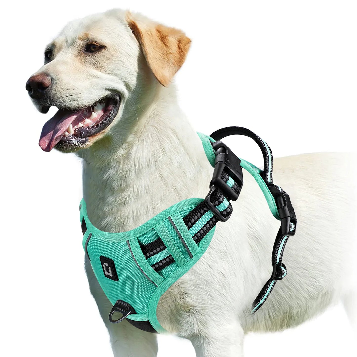 Comfort Control Dog Harness™