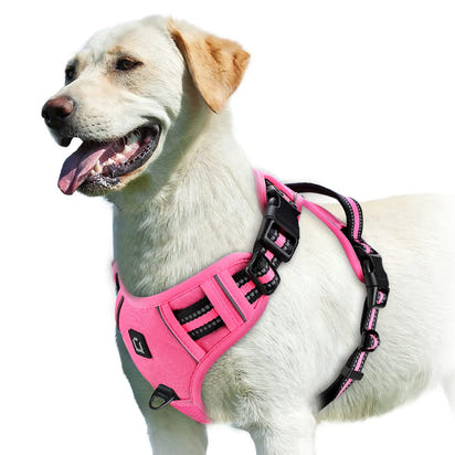 Comfort Control Dog Harness™