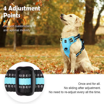 Comfort Control Dog Harness™