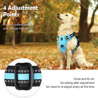Comfort Control Dog Harness™