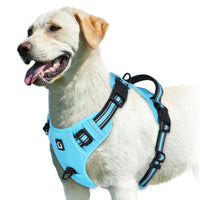Comfort Control Dog Harness™