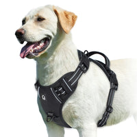 Comfort Control Dog Harness™