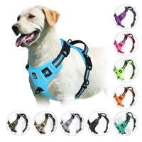 Comfort Control Dog Harness™