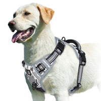 Comfort Control Dog Harness™